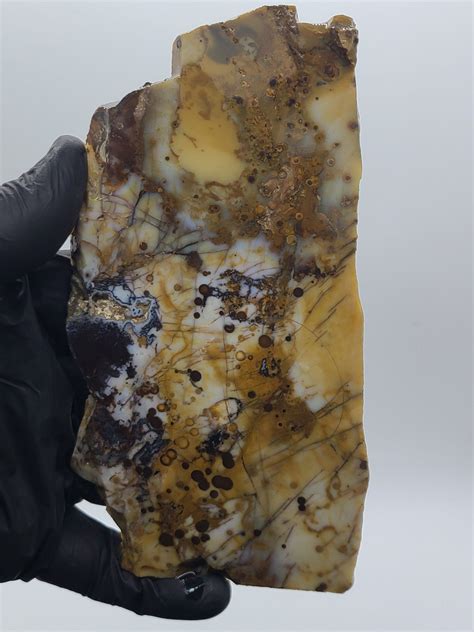 Lapidary Slabs 的图像结果