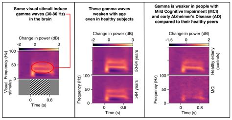 Brain, Computation, and Data Science