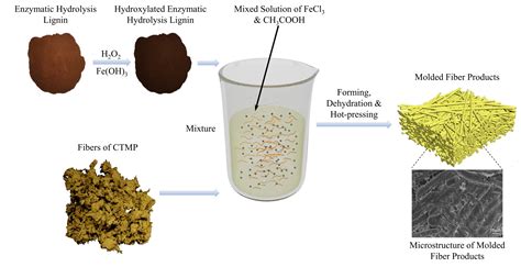 Preparation of Molded Fiber Products from Hydroxylated Lignin ...