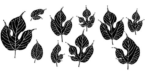 Image result for Un Sample Script