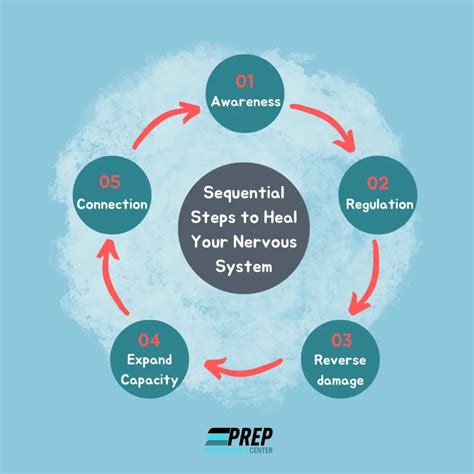 Embarking on Nervous System Regulation