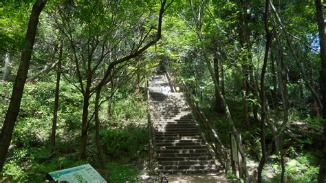 Image result for Simple Example of Iteration