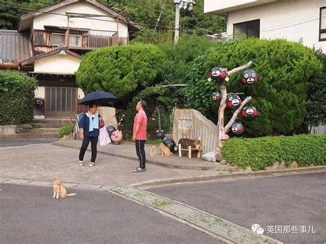 生活在日本 - 堆糖，美图壁纸兴趣社区