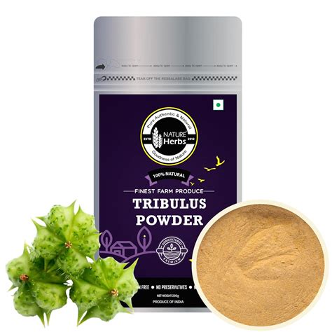 Buy Nature Herbs 100% Pure Tribulus Powder 200 Grams (Pack of 1-200 ...
