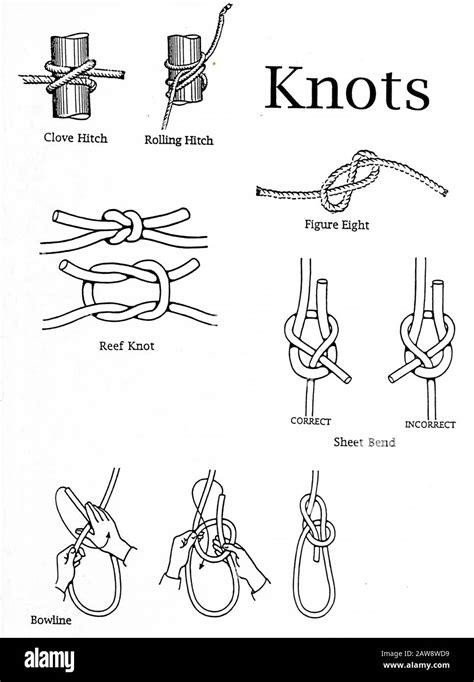 Image result for Sailing Knots Tutorial