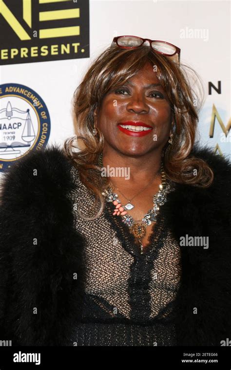 LOS ANGELES - FEB 10: Cheryl Davis at the Non-Televisied 48th NAACP ...