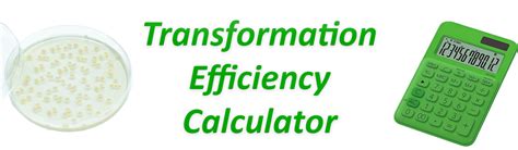 Image result for Transformation Efficiency Formula