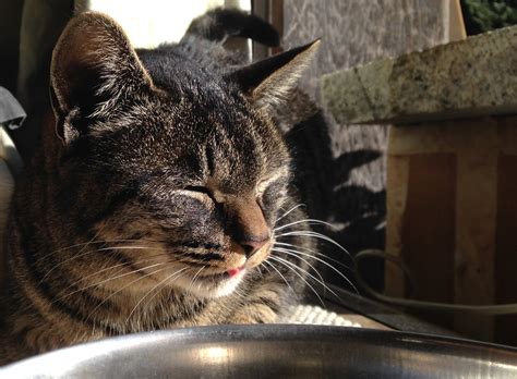 Image result for Textile Workshops