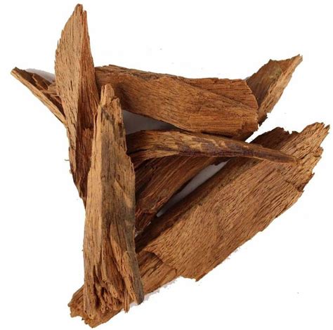 Xetomos Raw Vijaysar Pterocarpus Marsupium Herb 250g Price in India ...