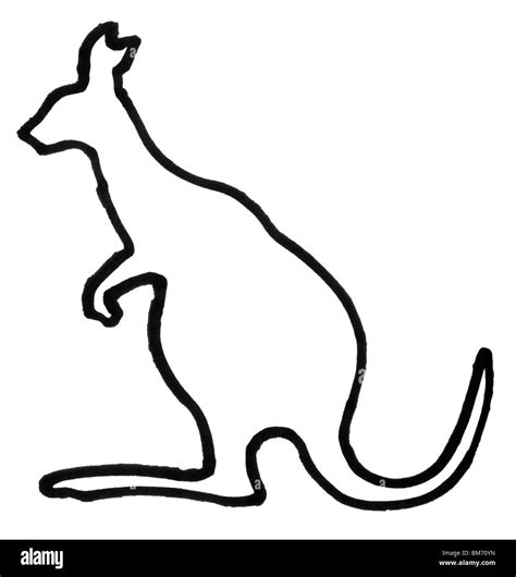 Outline of a kangaroo Stock Photo - Alamy