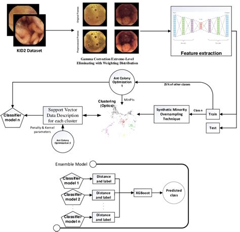 Image result for Binary Classification Example