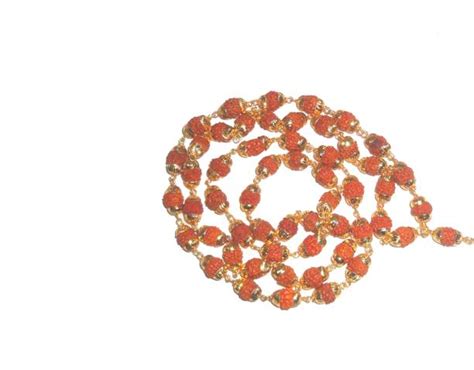 Rudraksha Gold Chains - Buy Rudraksha Gold Chains online at Best Prices ...