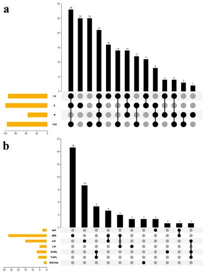 Genome-Wide Identification of Brassicaceae Hormone-Related ...