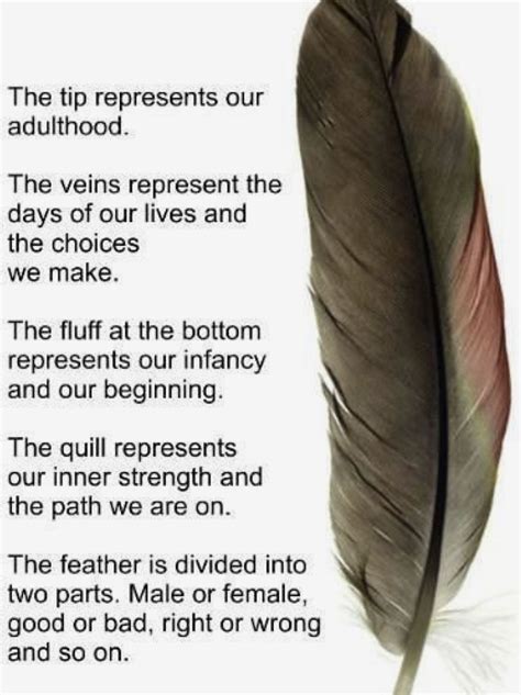 5 Ways to Understand the Meaning of “Native”