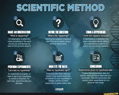 Image result for Scientific Method Observation Variable