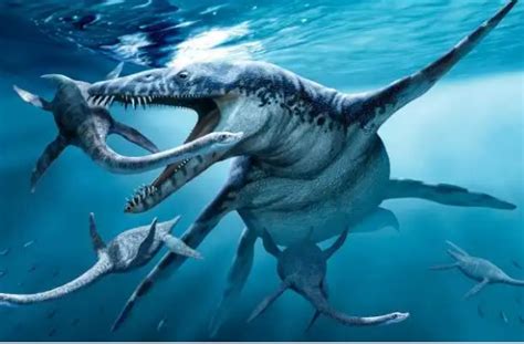 巨齿鲨VS沧龙，到底谁才是史前海洋霸主？_哔哩哔哩_bilibili