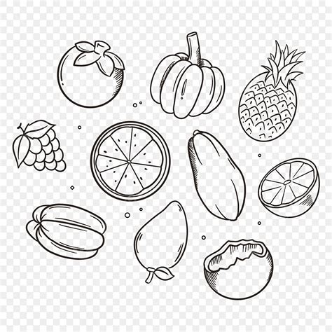 Fruits Drawing Outline