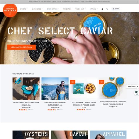 Shopify Ecommerce Store Examples - Shopify India