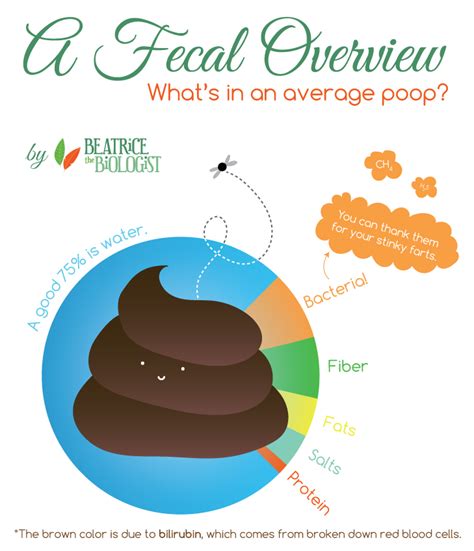 Image result for Poop Cat Exploding