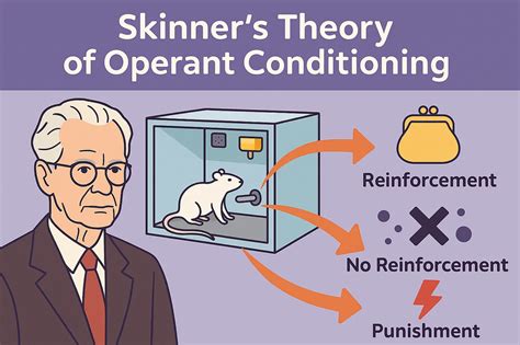 Image result for Mda Format