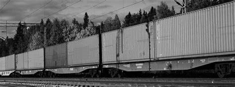 Image result for Transles