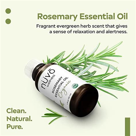 Buy NUVO Wellness Organic Rosemary Oil - Pure Rosemary Oil 30ml - Use ...