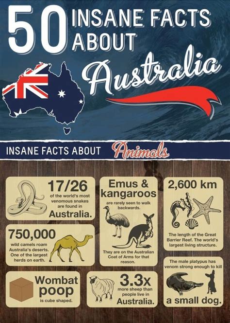 Aussie Slang 的图像结果