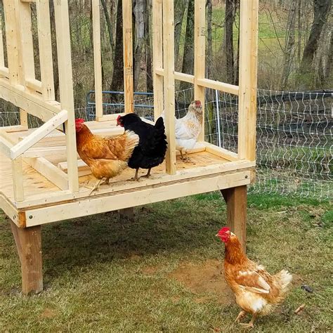 Backyard Chicken Coop (Our Easy Strong DIY Build) - Whole Made Living