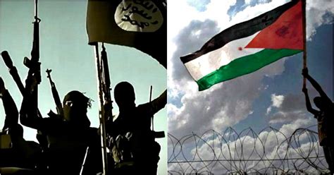 Raise A Palestinian Flag If You Want To Be Executed, ISIS Tells People ...