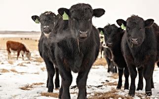 Blaine County FSA updates - January 2024