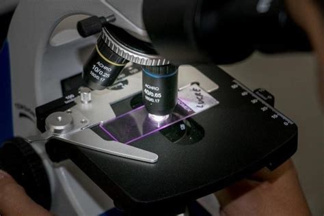 Guide to Prepare Microscope Slides in School Labs