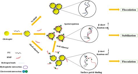 Image result for Pectin Structure