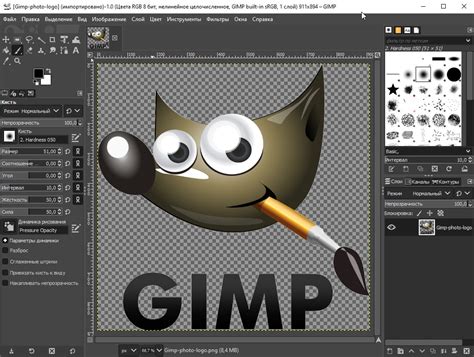 GIMP Tutorial Basic Photo Editing 的图像结果