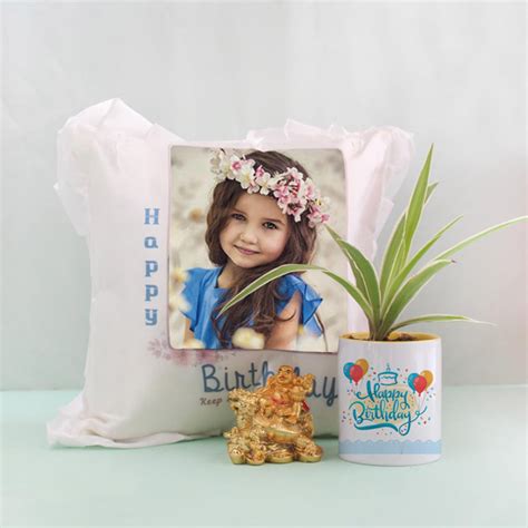 Send Personalized Spider Plant Birthday Hamper Online - GAL19-94049 ...