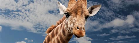 Cosas que hacer en Brookfield WI | Holiday Inn Brookfield