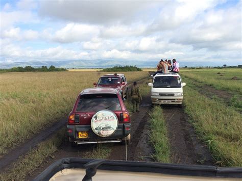 SASO UGANDA SAFARIS (2026) All You Need to Know BEFORE You Go (with ...