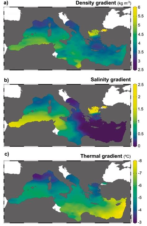 Image result for Environmental Gradient