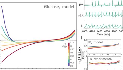 Generic Algorithm Mathematical Model 的图像结果