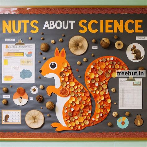 Nuts Bulletin Board and Activity Ideas for Elementary School ...