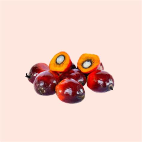 Buy Batana Oil Online in India – Bulk Supplier & Manufacturer | Raasa ...