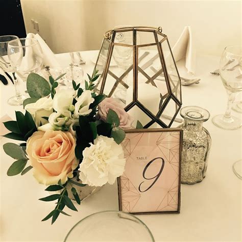 Windy Day Bride 的图像结果