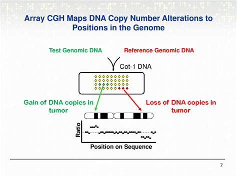 Image result for CGH Array Tutorial