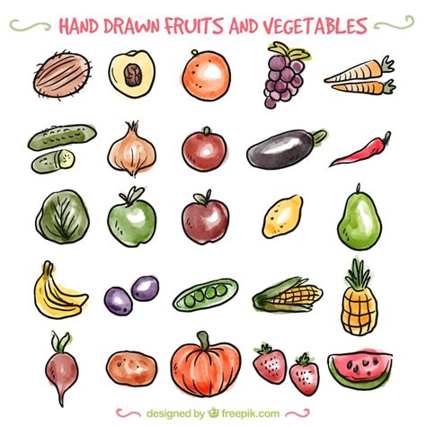 Fruits and vegetables drawing Images - Free Download on Freepik