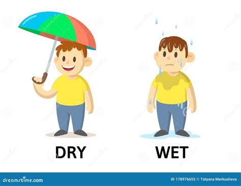 Wet Dry Vs Wet Dry Wet at Tamara Hall blog