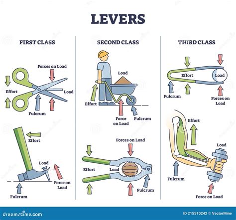 Levers Classification As Physics Force And Effort Explanation Outline ...