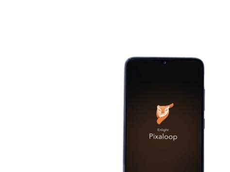 Pixaloop Tutorial 的图像结果