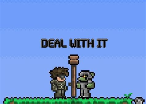 Image result for Terraria Animation Meme