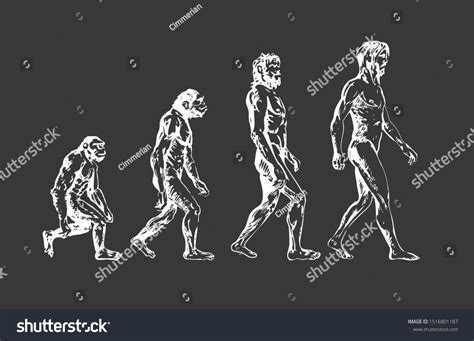Evolution of Human Drawing 的图像结果