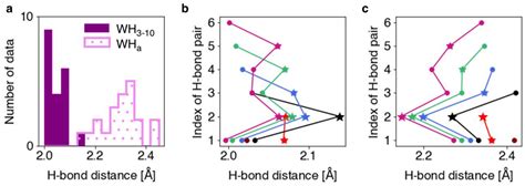 Depolarizing Effects in Hydrogen Bond Energy in 310-Helices Revealed by ...