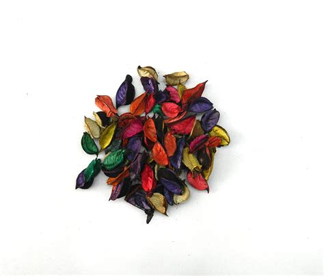 Buy Petals pros Artificial Dried Rose Petal for Filling Table Box (100 ...